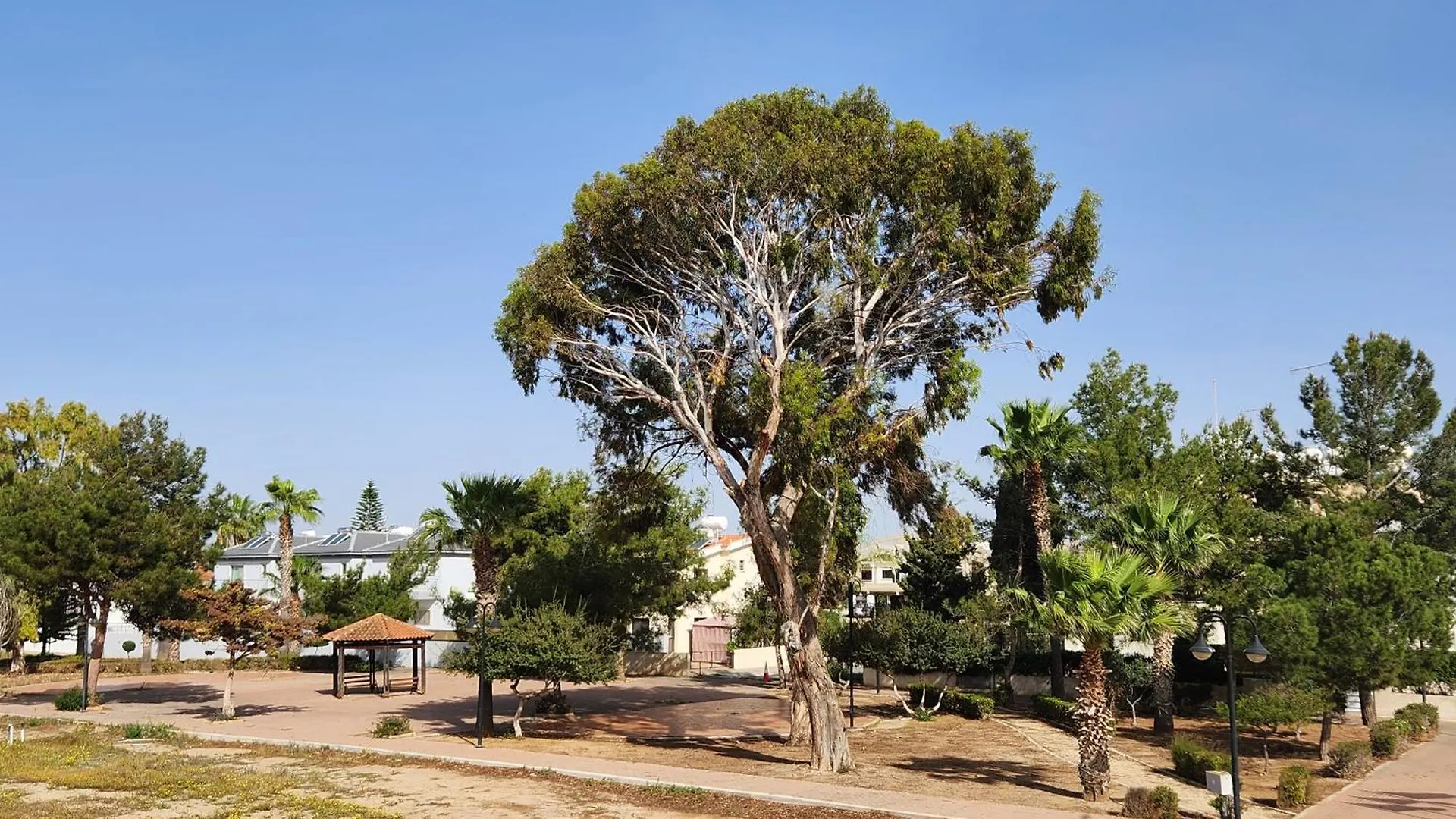 Kafkalia Sea Breeze 0*, Larnaca Cyprus